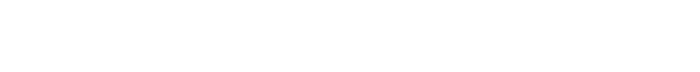 Business overview